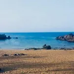 Lory-puerto Del Carmen * ティアス