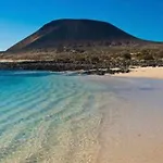 Lory-puerto Del Carmen * ティアス