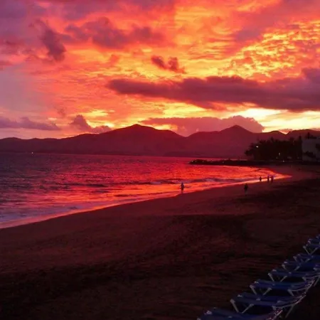 Lory-puerto Del Carmen * ティアス