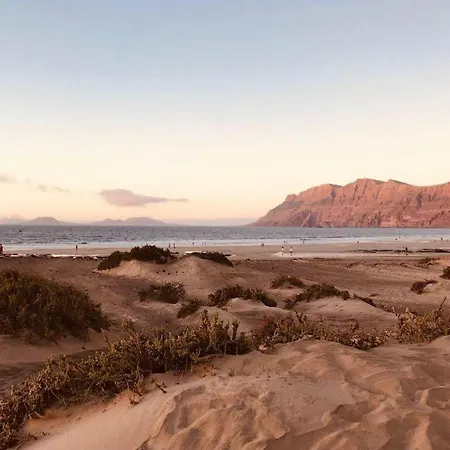Lory-puerto Del Carmen *