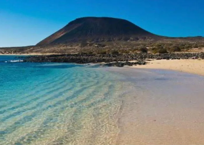 Lory-puerto Del Carmen * Tias