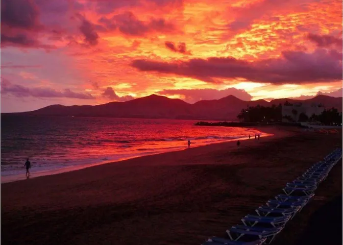 Lory-puerto Del Carmen * Tias