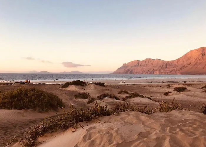 Lory-puerto Del Carmen *