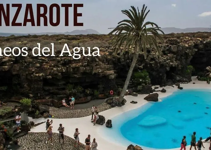 Lory-puerto Del Carmen Tias