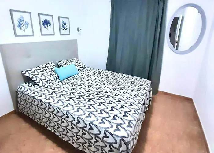 Lory-puerto Del Carmen *